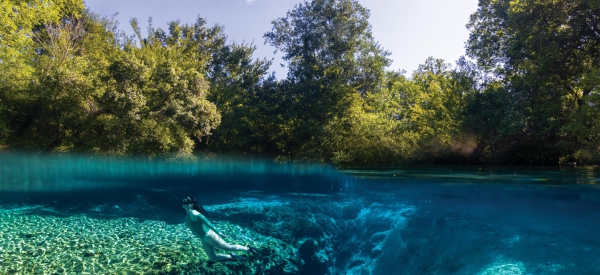 Von smaragdgrünen Quellen bis zu geschützten Küstenlandschaften: Floridas authentische Naturerlebnisse entdecken